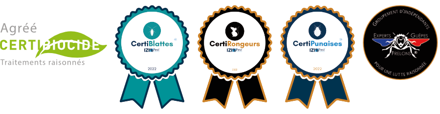 certifs900